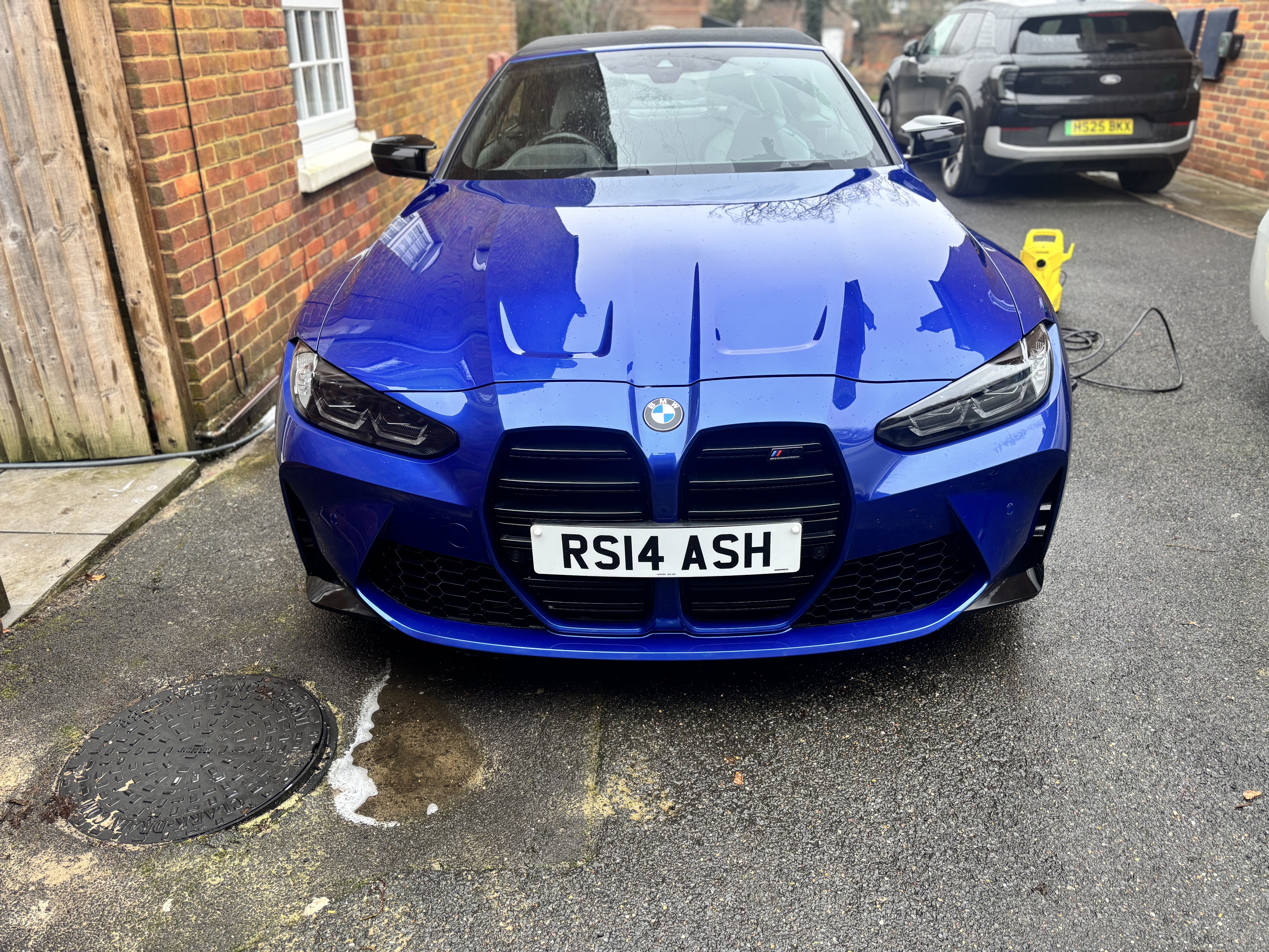 Professional Car Detailing